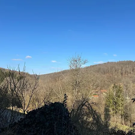 Fischbacher Waldidyll Bad Schwalbach